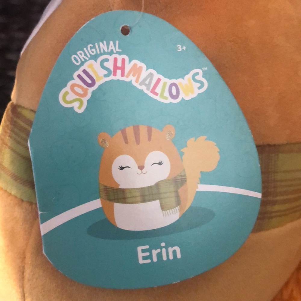 SALE ❤️ NWT Squishmallows Erin the Squirrel Fall collection Stuffed Plush - Picture 7 of 11
